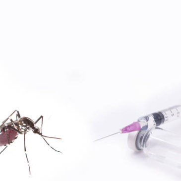 Scientists At The University Of Oxford Develop A Malaria Vaccine That Gives Up To 80% Protection