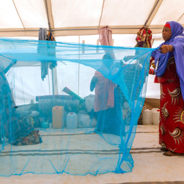 Coating Formulation Change Leads to Inferior Performance of Long-Lasting Insecticidal Nets in Papua New Guinea